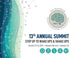 summit theme